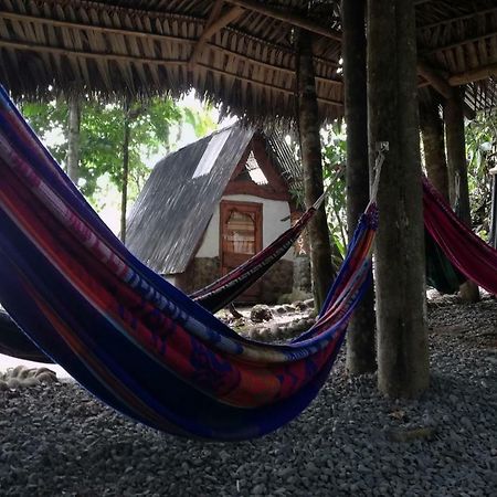 Hotel Jungle Roots Tena Exterior foto