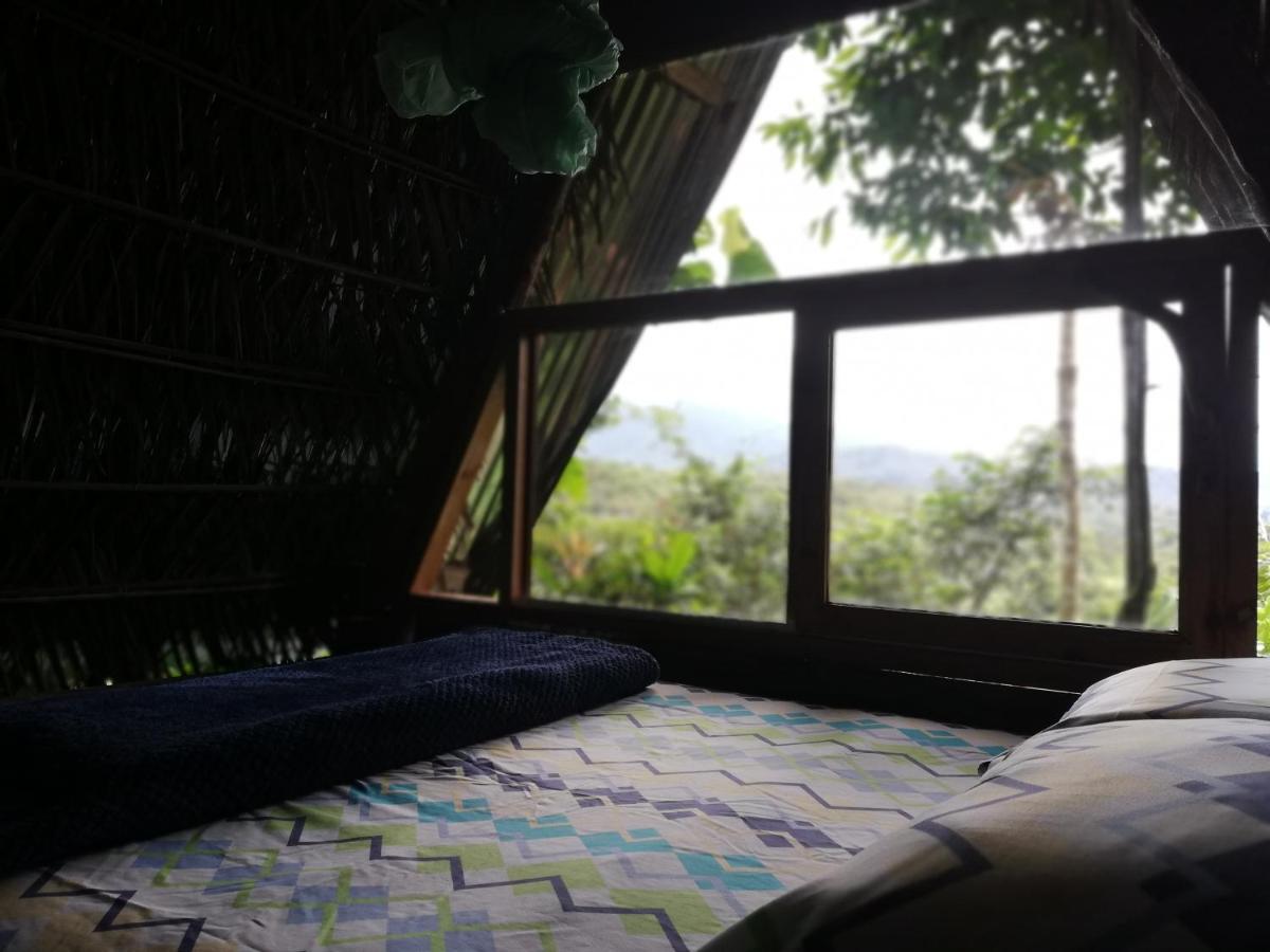 Hotel Jungle Roots Tena Exterior foto