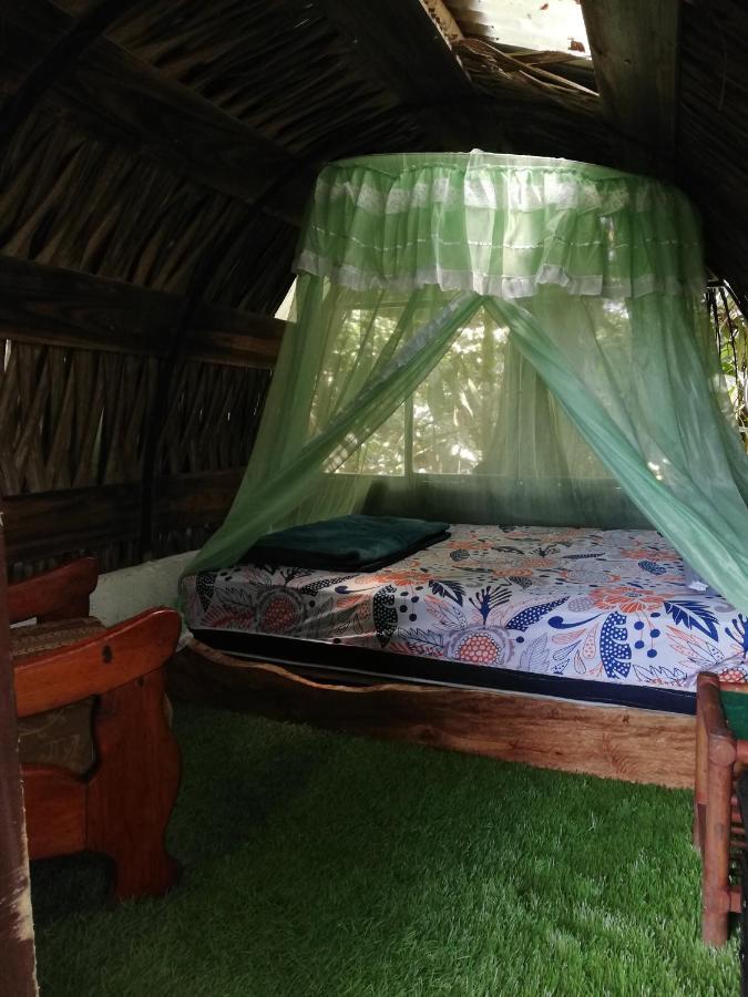 Hotel Jungle Roots Tena Exterior foto