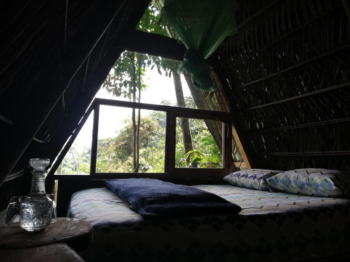 Hotel Jungle Roots Tena Exterior foto