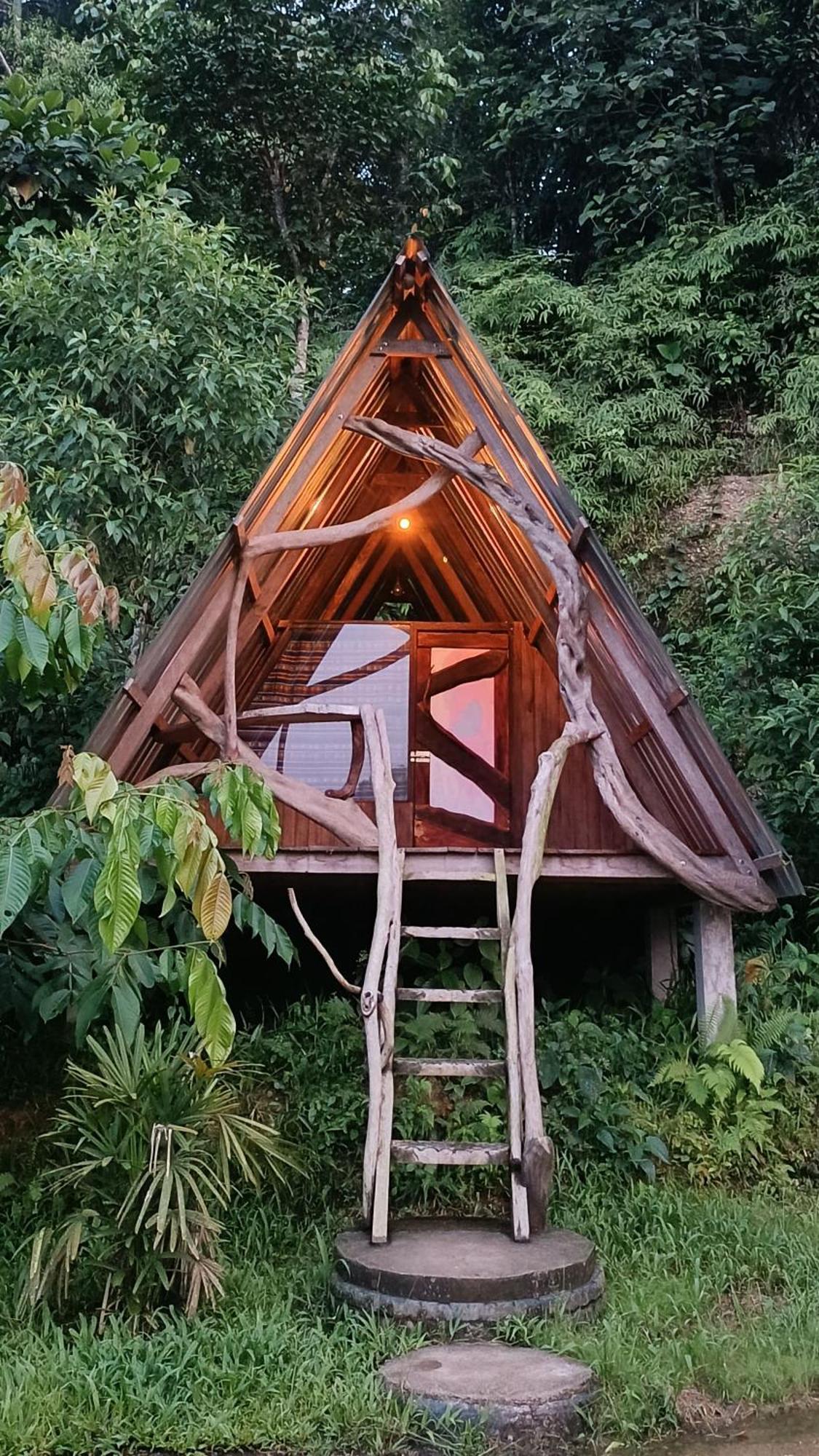 Hotel Jungle Roots Tena Exterior foto