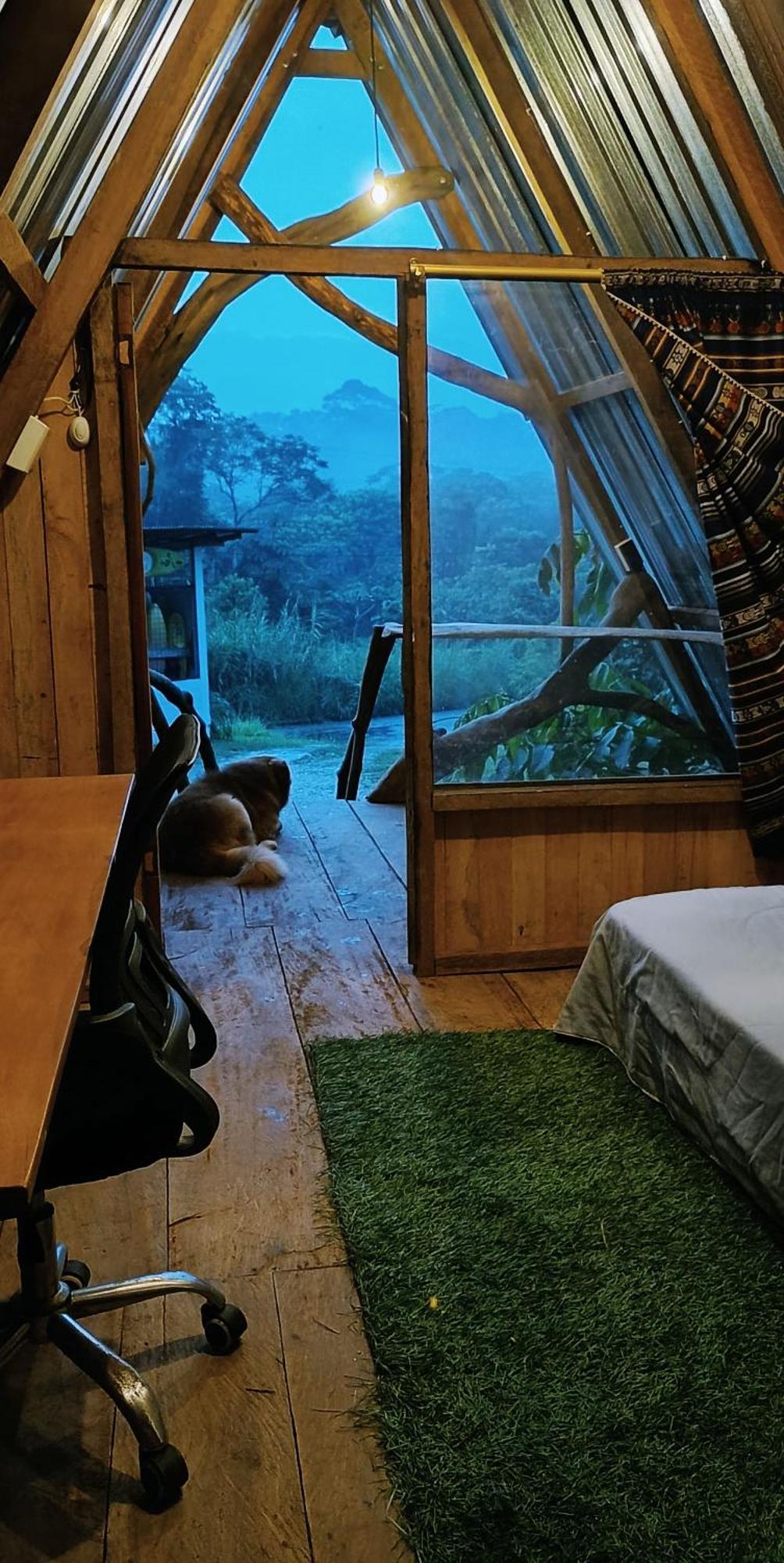 Hotel Jungle Roots Tena Habitación foto