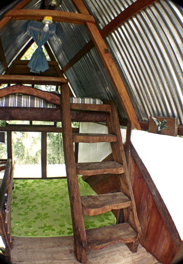 Hotel Jungle Roots Tena Exterior foto