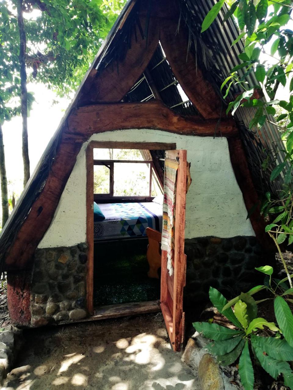 Hotel Jungle Roots Tena Exterior foto