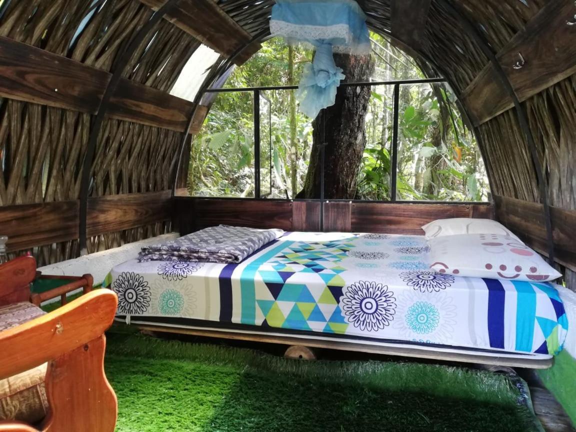 Hotel Jungle Roots Tena Exterior foto