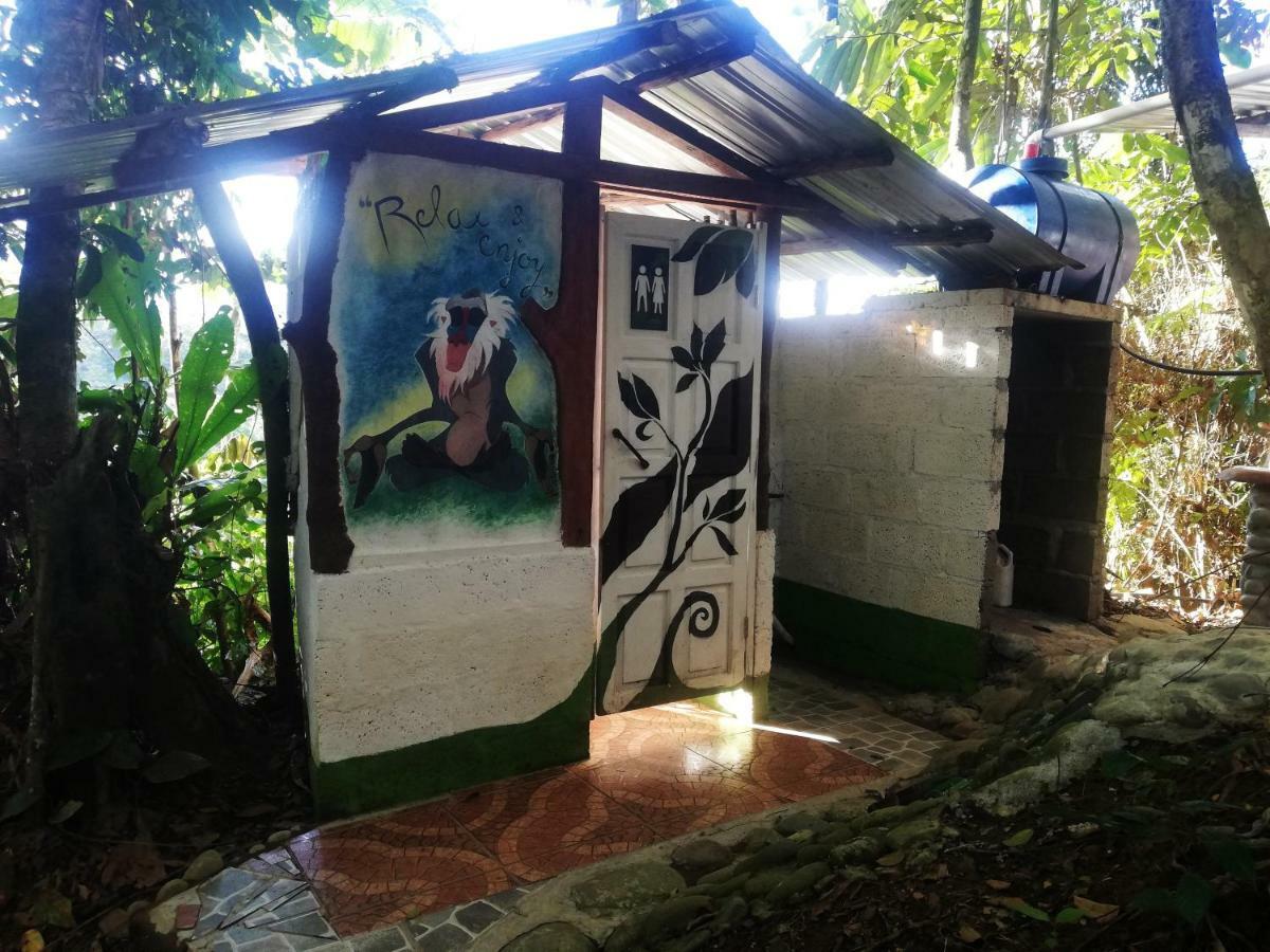 Hotel Jungle Roots Tena Exterior foto