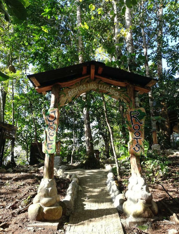 Hotel Jungle Roots Tena Exterior foto