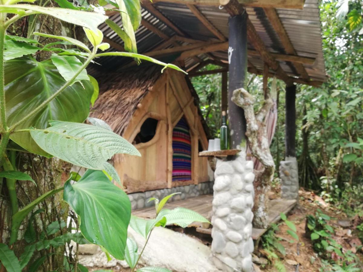 Hotel Jungle Roots Tena Exterior foto