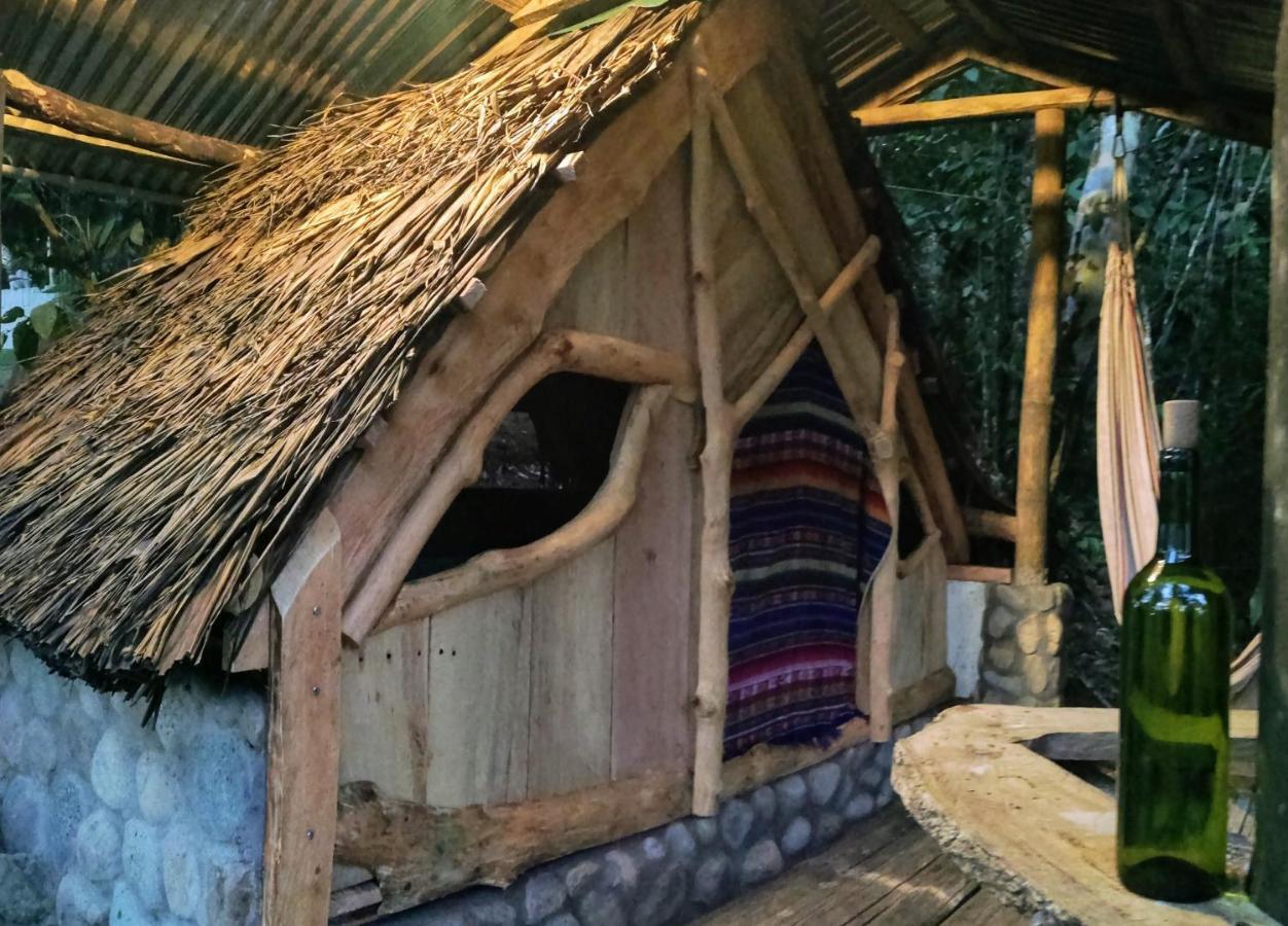 Hotel Jungle Roots Tena Exterior foto