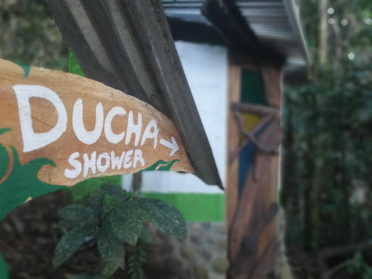 Hotel Jungle Roots Tena Exterior foto